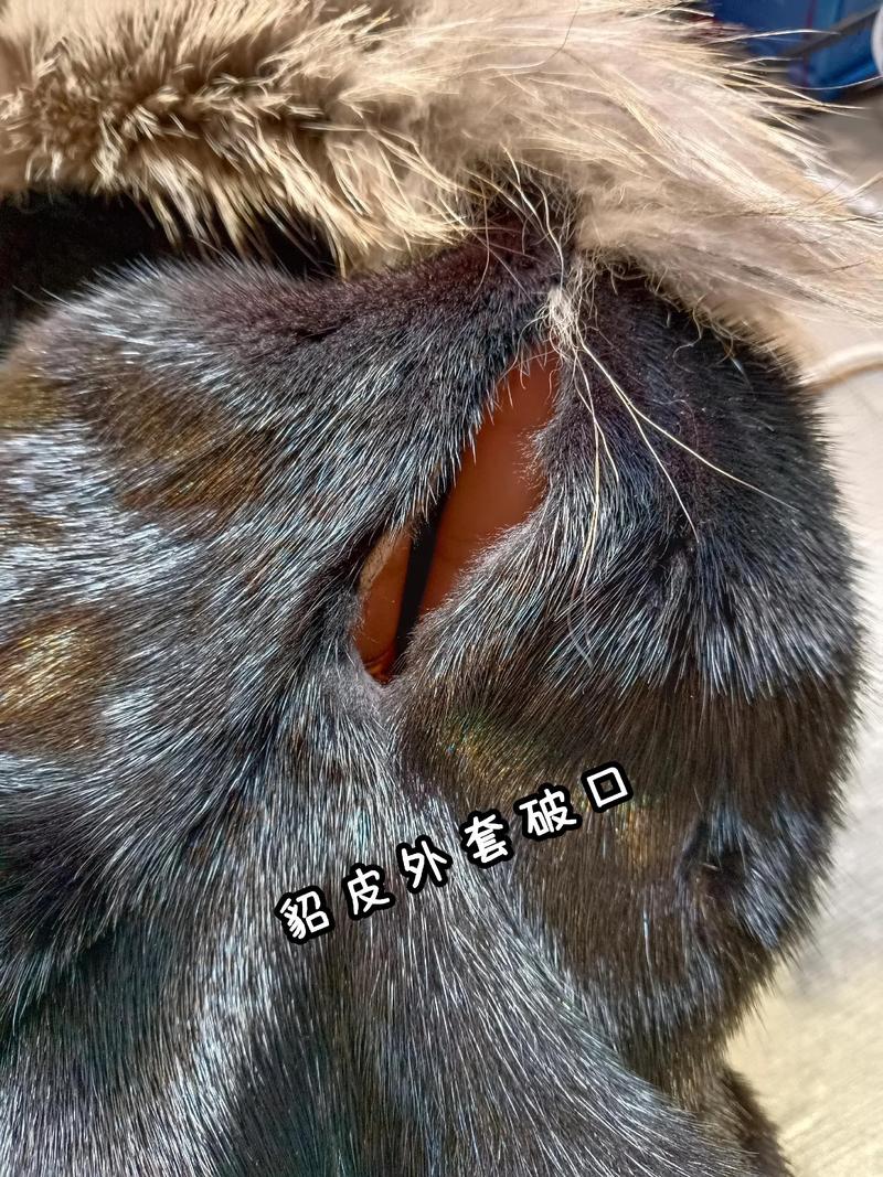 貂皮大衣修复：寒冬中的一股暖流
